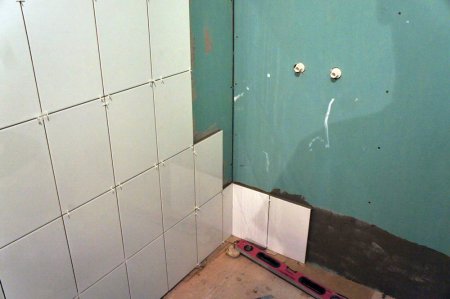 Al��pan ,�zerine ,Fayans , Seramik, D��enebilir mi? 